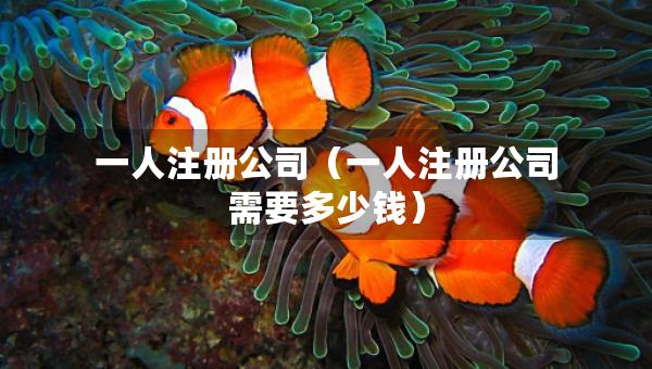一人注册公司（一人注册公司需要多少钱）