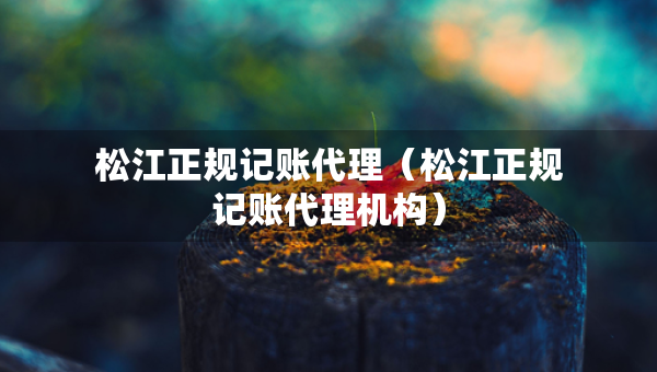 松江正规记账代理（松江正规记账代理机构）