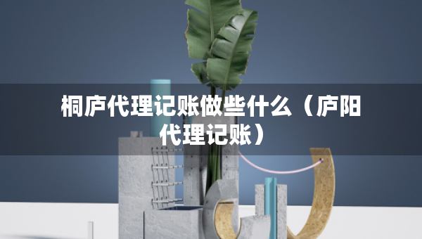 桐庐代理记账做些什么（庐阳代理记账）