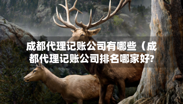 成都代理记账公司有哪些（成都代理记账公司排名哪家好?）