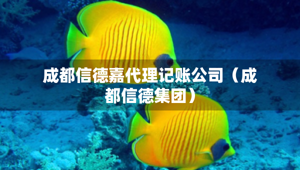 成都信德嘉代理记账公司（成都信德集团）
