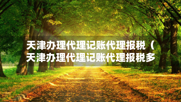 天津办理代理记账代理报税（天津办理代理记账代理报税多少钱）
