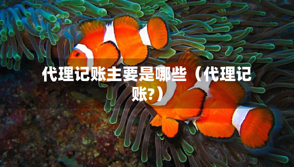代理记账主要是哪些（代理记账?）