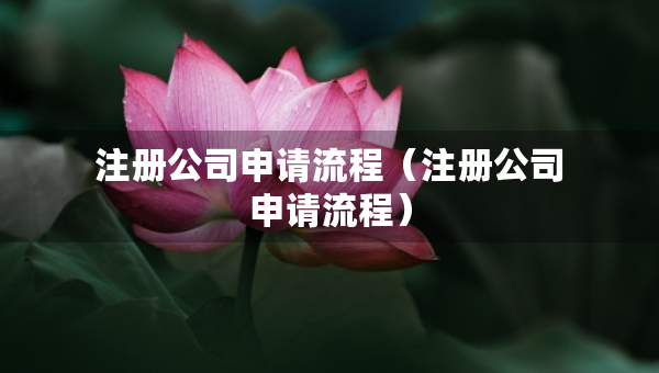 注册公司申请流程（注册公司申请流程）