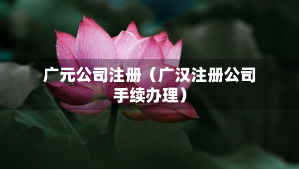 广元公司注册（广汉注册公司手续办理）
