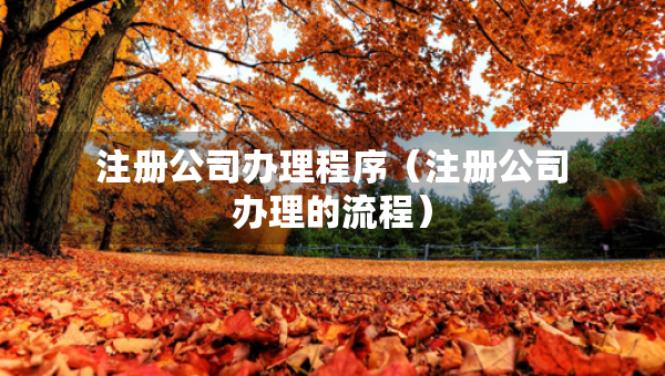 注册公司办理程序（注册公司办理的流程）