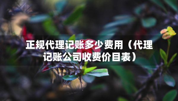 正规代理记账多少费用（代理记账公司收费价目表）
