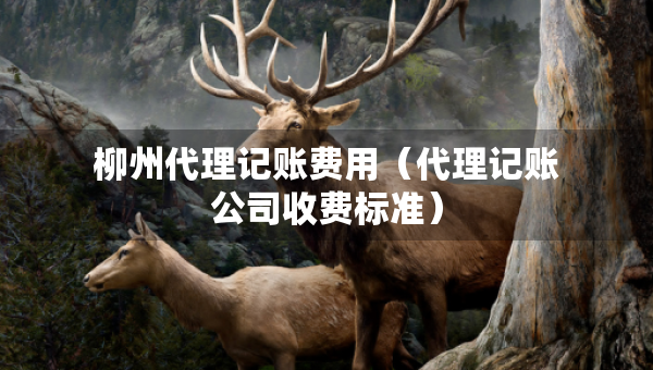 柳州代理记账费用（代理记账公司收费标准）