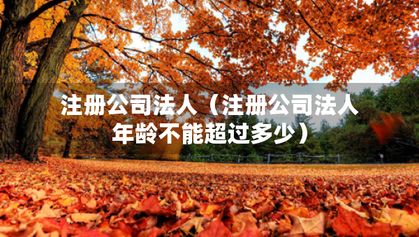 注册公司法人（注册公司法人年龄不能超过多少）
