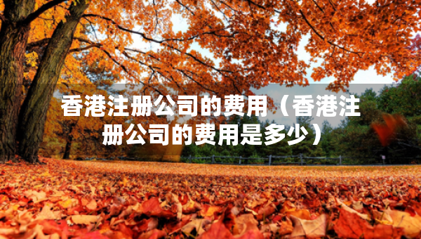 香港注册公司的费用（香港注册公司的费用是多少）
