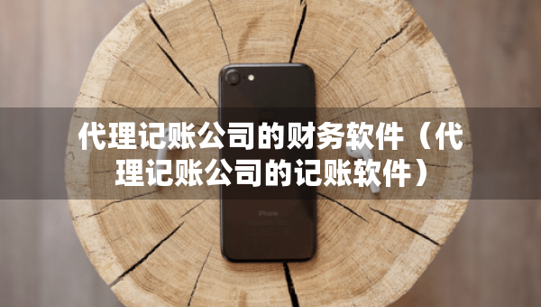 代理记账公司的财务软件（代理记账公司的记账软件）