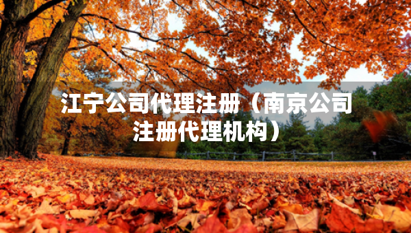 江宁公司代理注册（南京公司注册代理机构）