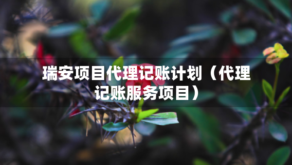 瑞安项目代理记账计划（代理记账服务项目）