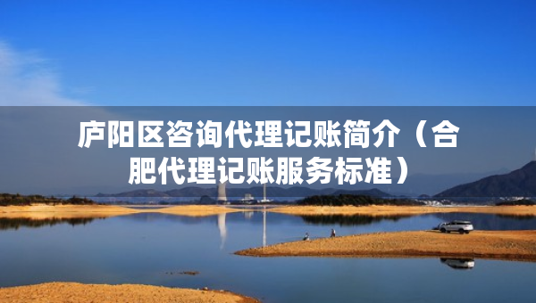 庐阳区咨询代理记账简介（合肥代理记账服务标准）