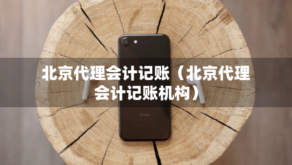 北京代理会计记账（北京代理会计记账机构）