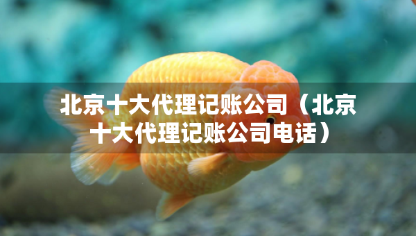 北京十大代理记账公司（北京十大代理记账公司电话）