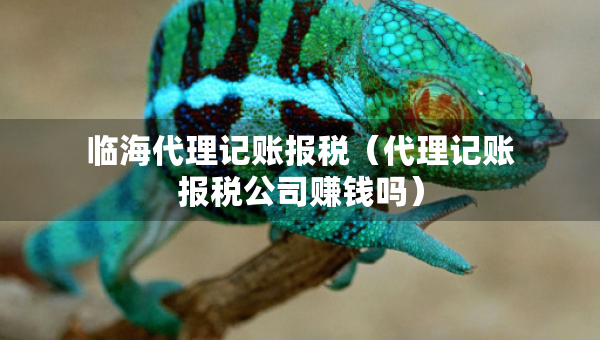 临海代理记账报税（代理记账报税公司赚钱吗）