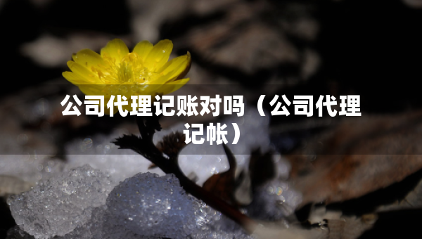 公司代理记账对吗（公司代理记帐）