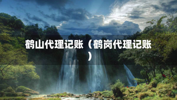 鹤山代理记账（鹤岗代理记账）