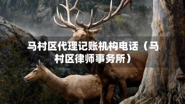 马村区代理记账机构电话（马村区律师事务所）