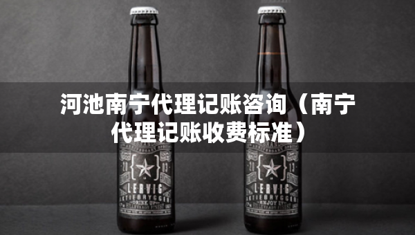 河池南宁代理记账咨询（南宁代理记账收费标准）