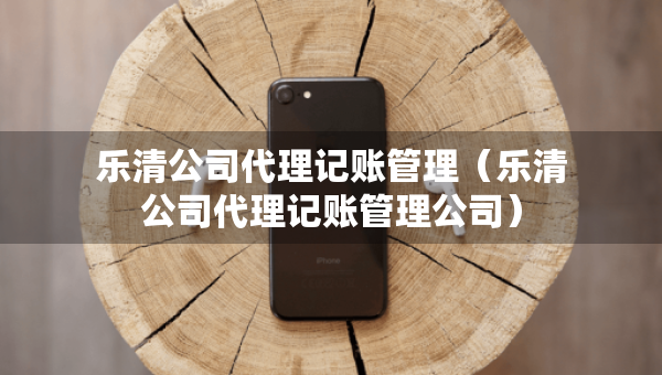 乐清公司代理记账管理（乐清公司代理记账管理公司）