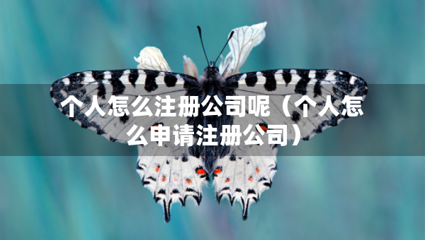 个人怎么注册公司呢（个人怎么申请注册公司）