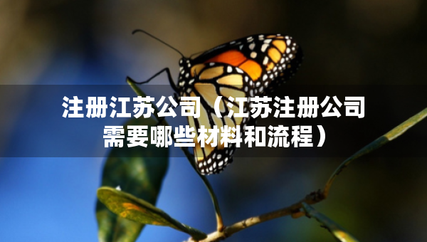 注册江苏公司（江苏注册公司需要哪些材料和流程）