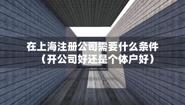 在上海注册公司需要什么条件（开公司好还是个体户好）