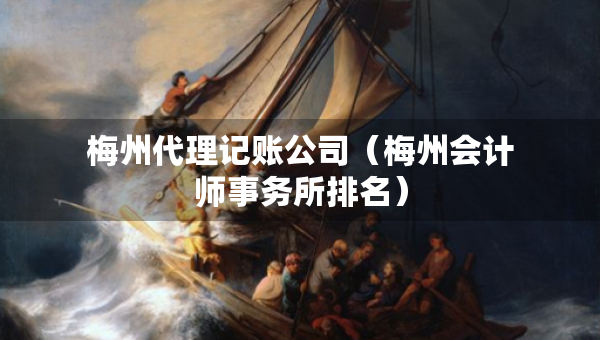 梅州代理记账公司(梅州会计师事务所排名) 梅州代理记账公司(梅州会计师事务所排名)