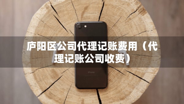 庐阳区公司代理记账费用（代理记账公司收费）