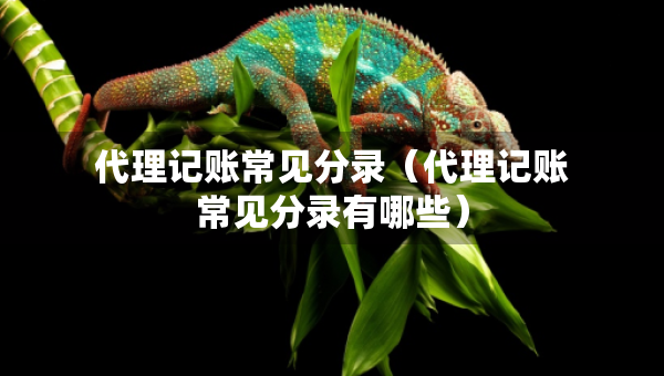 代理记账常见分录（代理记账常见分录有哪些）