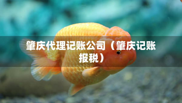 肇庆代理记账公司（肇庆记账报税）