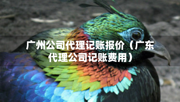 广州公司代理记账报价（广东代理公司记账费用）