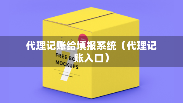 代理记账给填报系统（代理记账入口）