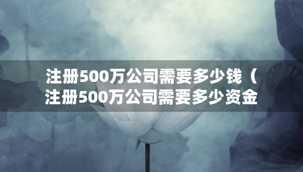 注册500万公司需要多少钱（注册500万公司需要多少资金）