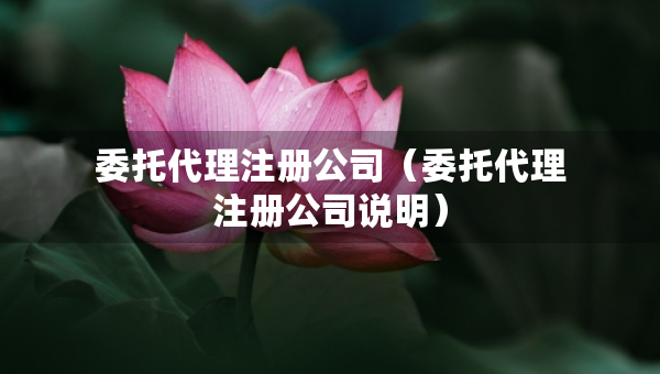 委托代理注册公司（委托代理注册公司说明）