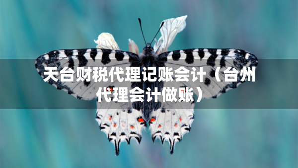 天台财税代理记账会计（台州代理会计做账）