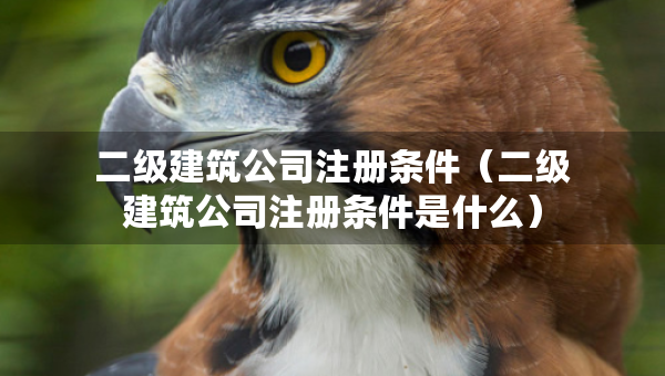 二级建筑公司注册条件（二级建筑公司注册条件是什么）