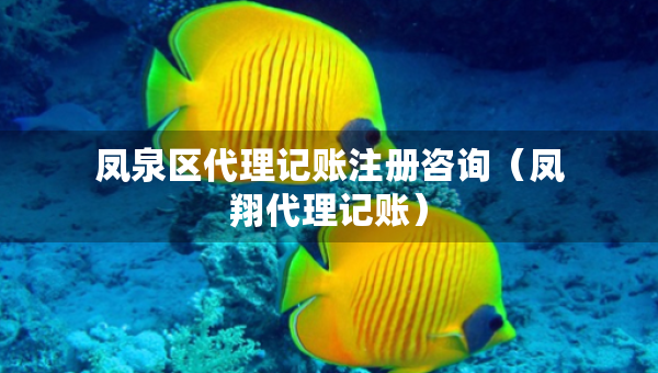 凤泉区代理记账注册咨询（凤翔代理记账）