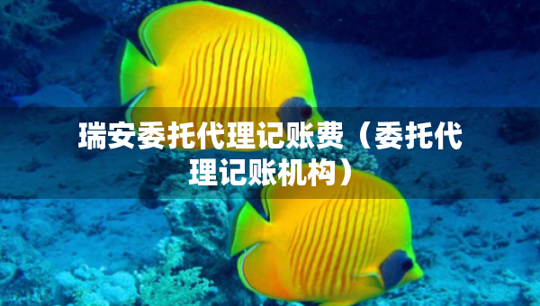 瑞安委托代理记账费（委托代理记账机构）