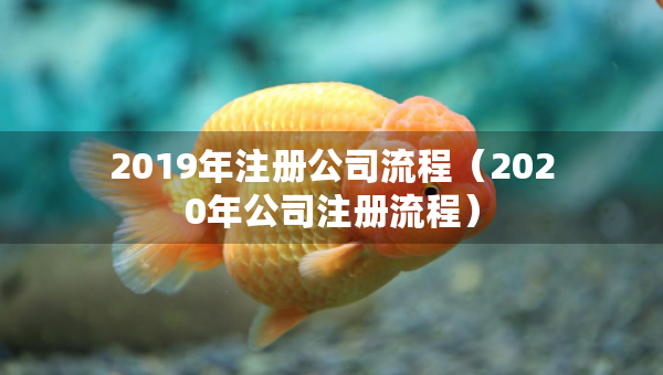 2019年注册公司流程（2020年公司注册流程）