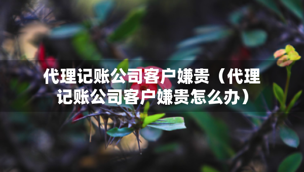 代理记账公司客户嫌贵（代理记账公司客户嫌贵怎么办）