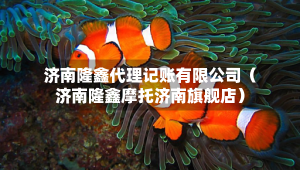 济南隆鑫代理记账有限公司（济南隆鑫摩托济南旗舰店）