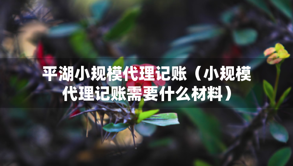 平湖小规模代理记账（小规模代理记账需要什么材料）