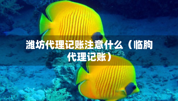 潍坊代理记账注意什么（临朐代理记账）