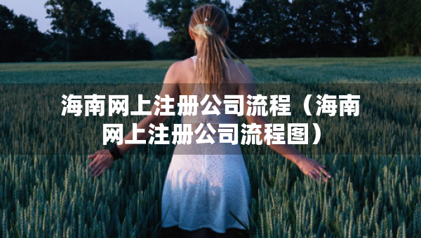 海南网上注册公司流程（海南网上注册公司流程图）