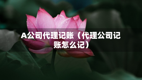 A公司代理记账（代理公司记账怎么记）