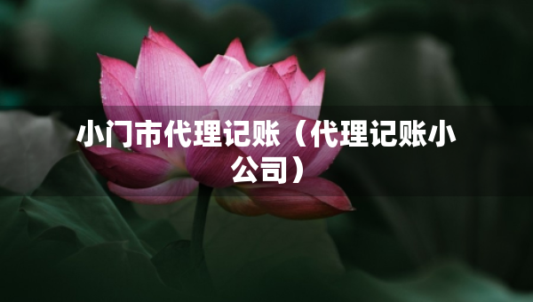小门市代理记账（代理记账小公司）