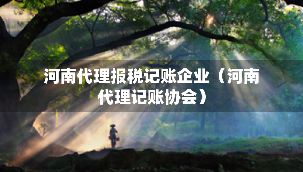 河南代理报税记账企业（河南代理记账协会）